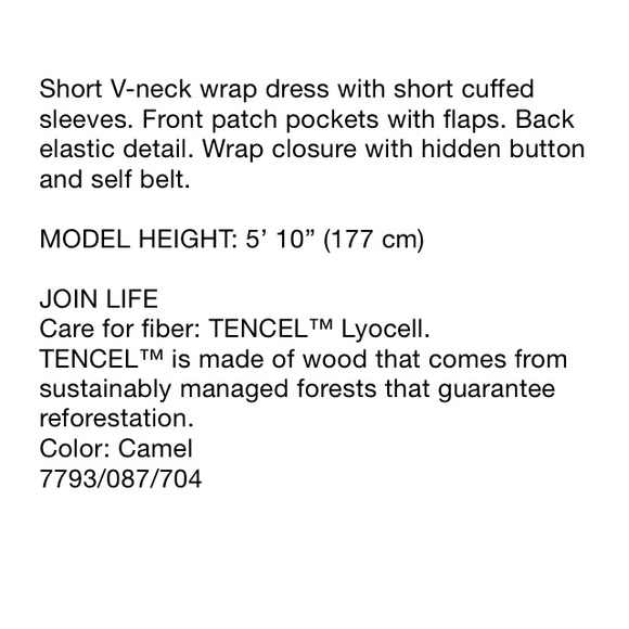 Zara camel color dress with pockets - Picture 5 of 6